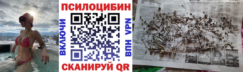Галлюциногенные грибы Psilocybine cubensis  Купить закладки  Эртиль 